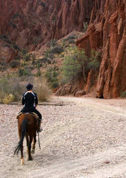 Alexandra's Horseride
